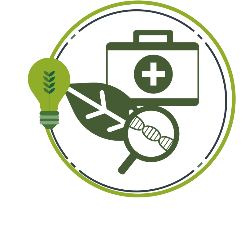 Illustration of a lightbulb, a first aid bag, a leaf and a magnifying glass